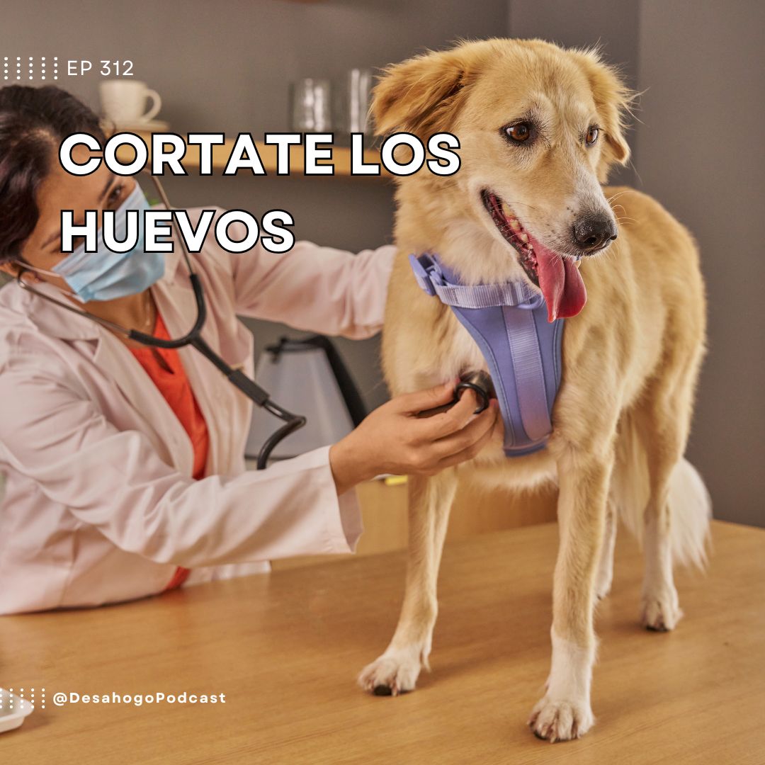 Cortate los huevos